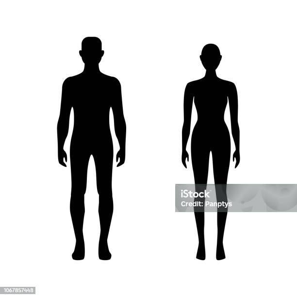 Woman And Man Body Silhouette Vector Icon Stock Illustration - Download Image Now - In Silhouette, Naked, Men