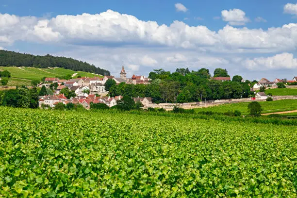 Volnay, small village near Beaune, Burgundy France