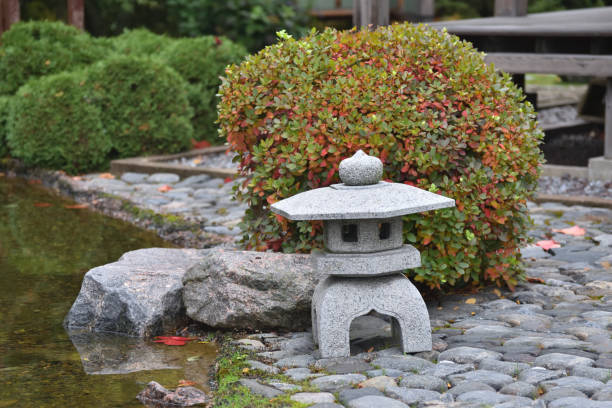 istock Autumn in japanese park 1067858984
