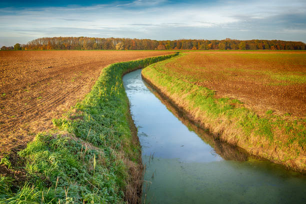 Dutch plowed fields intersected by a meandering ditch. The colors have been artificially changed by means of tonemapping.