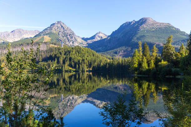 istock mountain lake in Tatras 1067861896