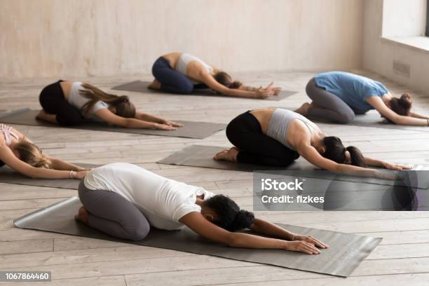Gruppe Von Frauen Praktizieren Yoga In Balasana Pose Stockfoto und mehr Bilder von Yoga
