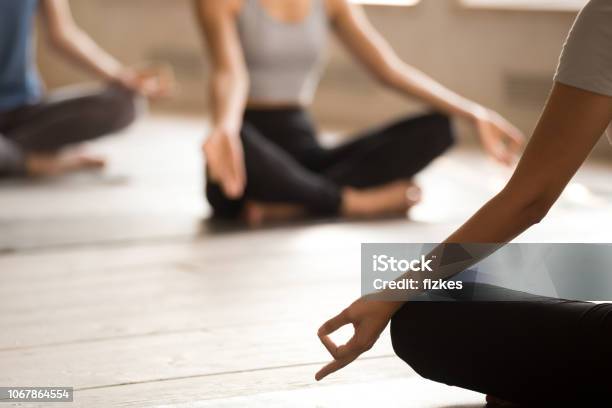 Group Of People Practicing Yoga Lesson With Instructor Ardha Padmasana Stock Photo - Download Image Now