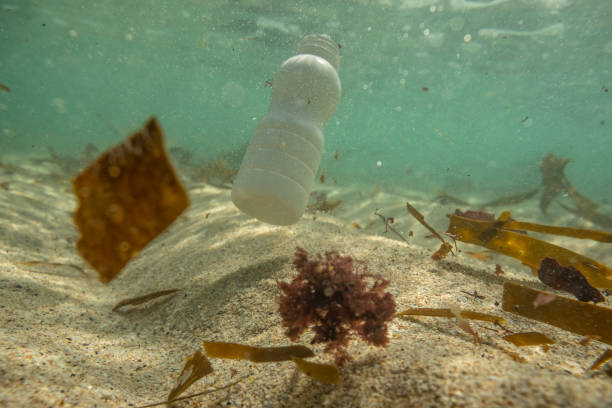 istock Discarded Plastic bottle floating in the sea. 1067865266