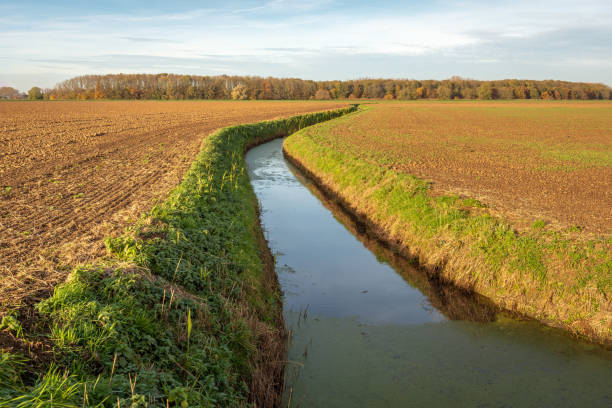 извилистый ров в сельскохозяйственном ландшафте - polder autumn dirt field стоковые фото и изображения