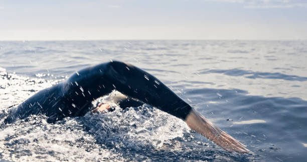 istock Open water swimmer swimming in sea 1067877372