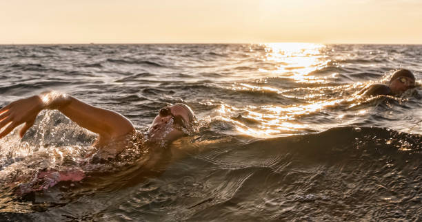 istock Open water swimmers swimming front crawl at sea in sunshine 1067877382