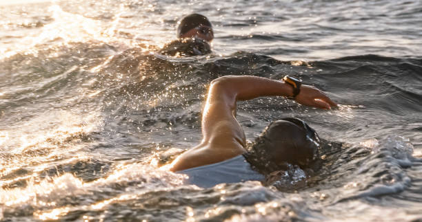 istock Open water swimmers swimming front crawl at sea in sunshine 1067877394