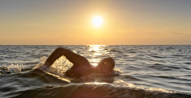 istock Male swimmer swimming front crawl in sunset 1067877488