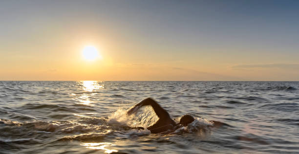 istock Male swimmer swimming front crawl in sunset 1067877498