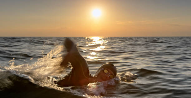 istock Male swimmer swimming front crawl in sunset 1067877502