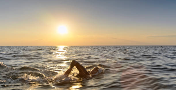 istock Male swimmer swimming front crawl in sunset 1067877504