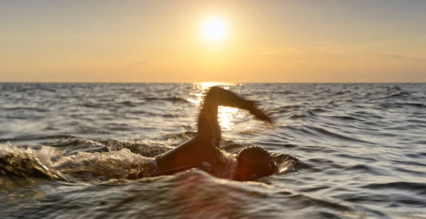 istock Male swimmer swimming front crawl in sunset 1067877510