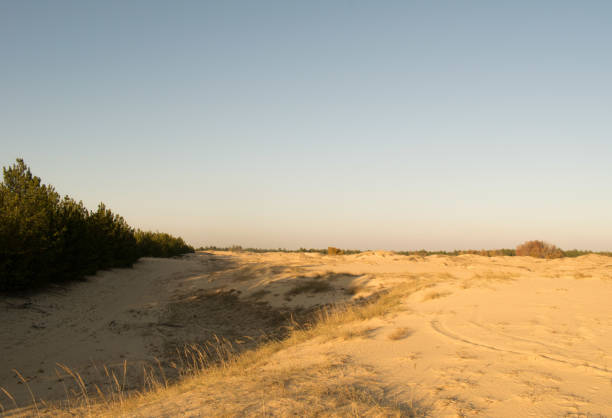 Photo of the largest desert in Europe