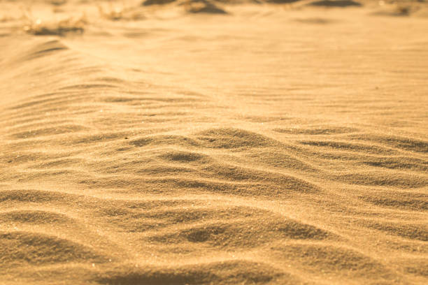 Photo of the largest desert in Europe