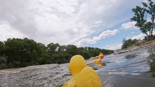 A Rubber Duck Toy with an Attached Camera Floats Down the Colorado River in Grand Junction, Colorado with Other Rubber Ducks, Falls Over, and Is Trapped Underwater