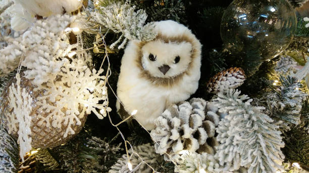 istock Pretty white owl on christmas market 1067880464