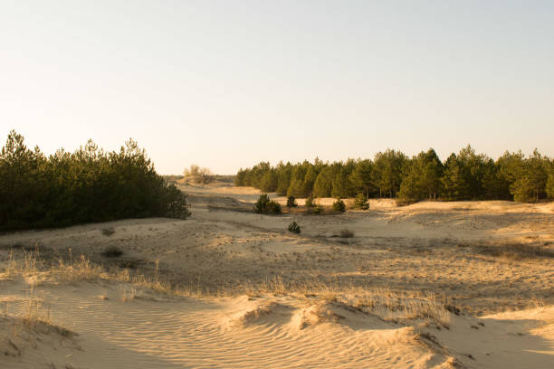 istock Desert in southern Ukraine 1067880710