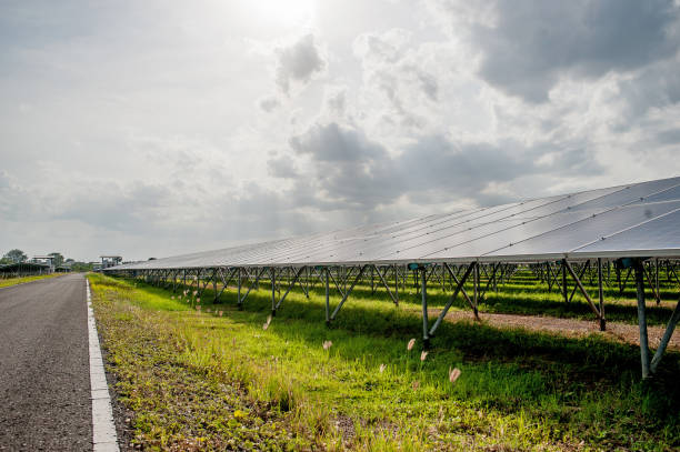 istock Solar panels, solar panels, alternative power supply - selected focus, copy space Natural energy 1067883708