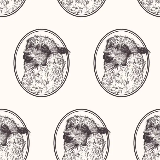 Vector illustration of Seamless pattern with portrait of lama.