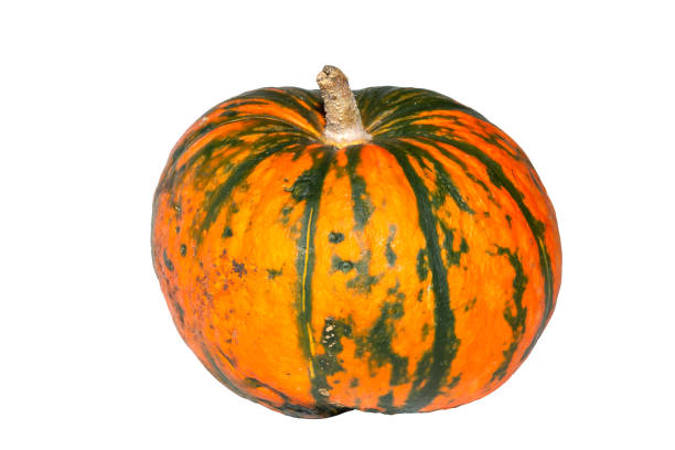 istock Pumpkin varieties candy isolated on white background 1067892432