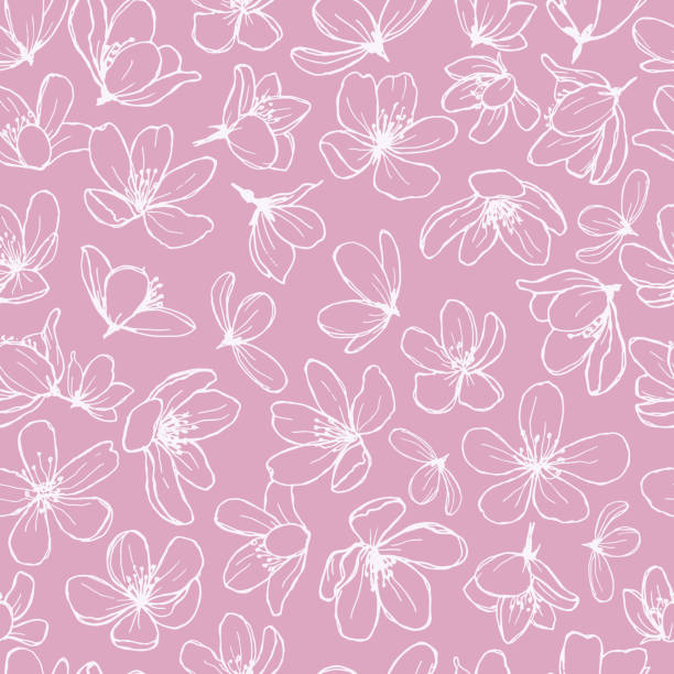 weiße blüte linie blumen auf rosa hintergrund. - flower spring cherry blossom blossom stock-grafiken, -clipart, -cartoons und -symbole