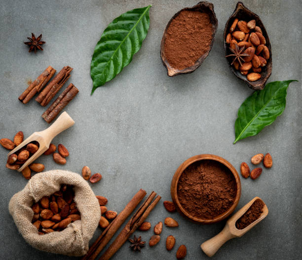 istock Cocoa powder and cacao beans on concrete background. 1067904090