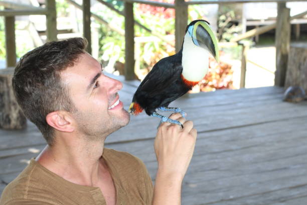 istock Man and his domesticated toucan bird 1067907172