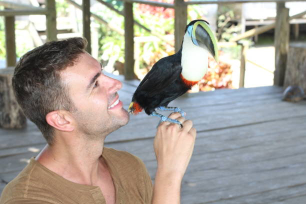 Man and his domesticated toucan bird Man and his domesticated toucan bird. rainbow toucan stock pictures, royalty-free photos & images