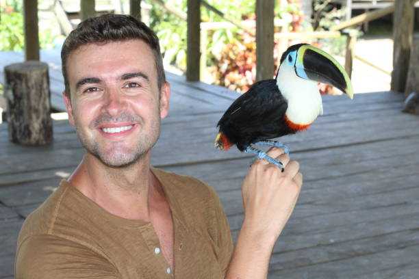 istock Man and his domesticated toucan bird 1067907198