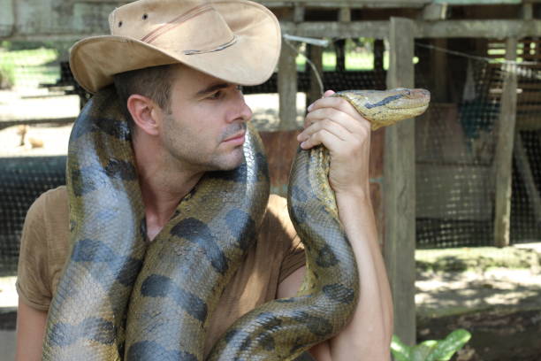 istock Powerful man controlling gigantic anaconda 1067907244