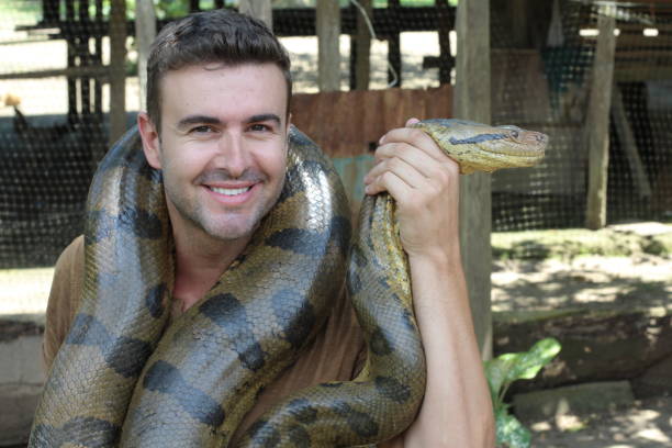 istock Man loving his gorgeous Anaconda 1067907252