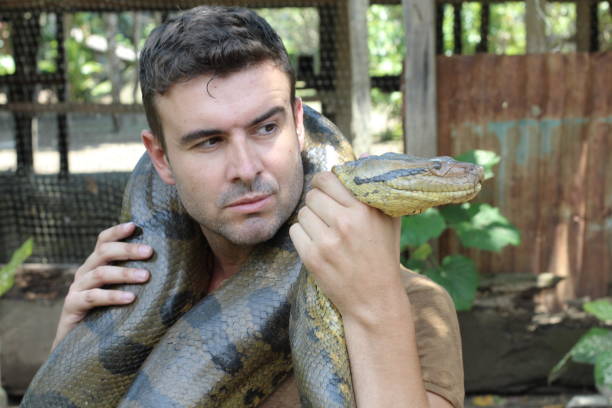 istock Powerful man struggling with gigantic anaconda 1067907254