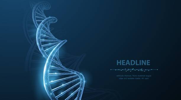 DNA. Abstract 3d polygonal wireframe DNA molecule helix spiral on blue. Medical science, genetic biotechnology, chemistry biology, gene cell concept vector illustration or background genetic research stock illustrations