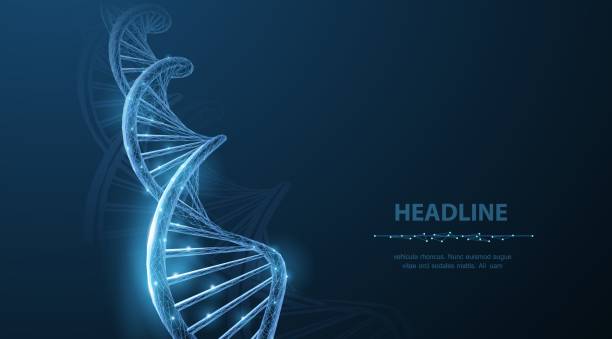DNA. Abstract 3d polygonal wireframe DNA molecule helix spiral on blue. Medical science, genetic biotechnology, chemistry biology, gene cell concept vector illustration or background genetic makeup stock illustrations