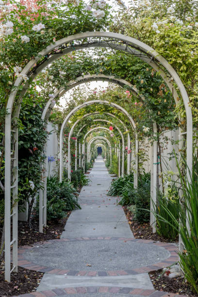 istock Garden Tunnel of Roses 1067912016