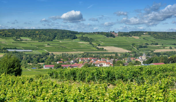 istock Grosswinternheim,Rhinehessen wine region,Germany 1067914264
