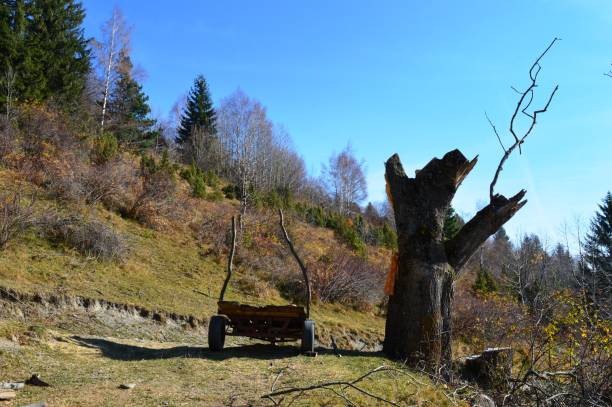 istock autumn landscape on the mountain 1067917632