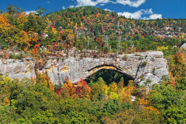 istock Natural Arch In Kentucky 1067918006