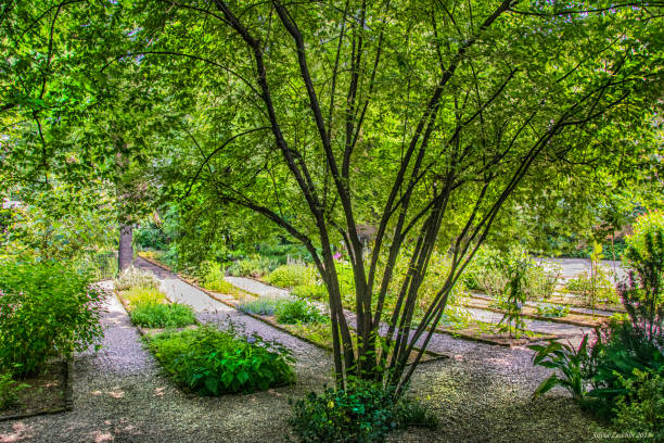 botanical garden operated by the Istituto di Scienze Botaniche of the University of Milan. It is located at Viale Colombo 60, Milan, Italy.