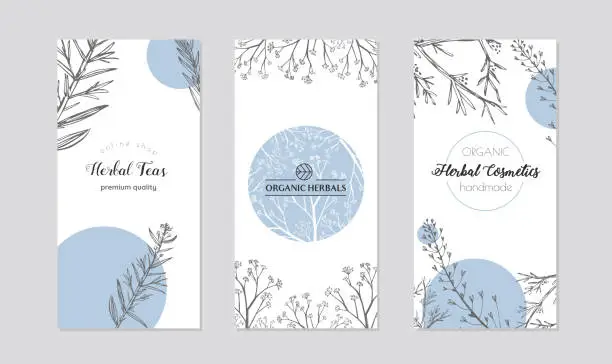 Vector illustration of Leaflets with healing herb plants vector.