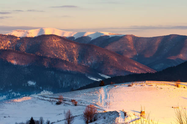 istock winter countryside of Carpathian mountains 1067921540