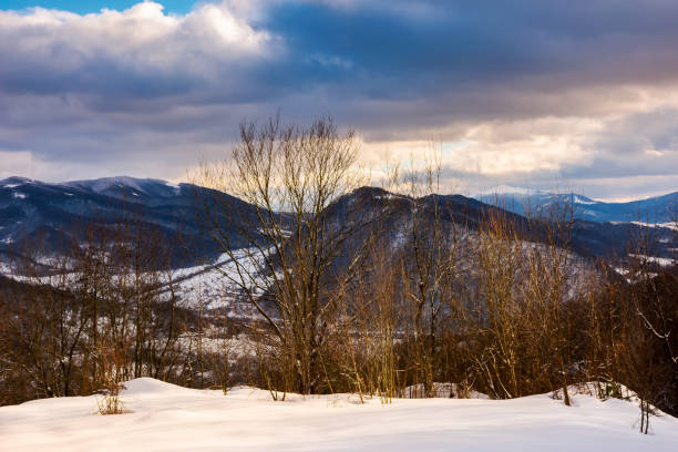 istock trees on a snowy slope above the valley 1067936424
