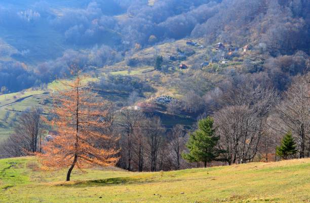 istock landscape in autumn colors 1067937810