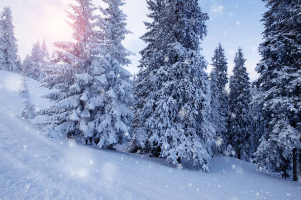 istock Winter mountain snowy forest. Winter season landscape 1067940830