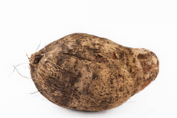 istock Yam (Dioscorea spp.) isolated in white background 1067943962