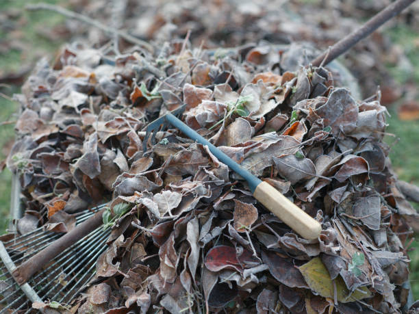 istock Fallen leaves and rakes 1067951550