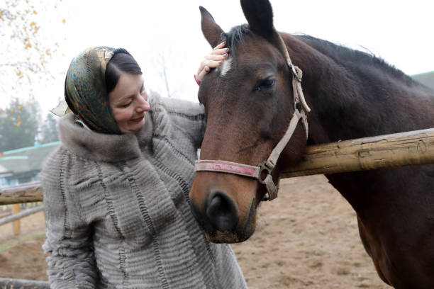 istock Woman strokes horse head 1067952360