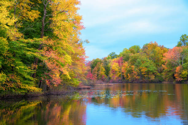 istock Autumn colors reflecting in a pond in New Jersey 1067961832