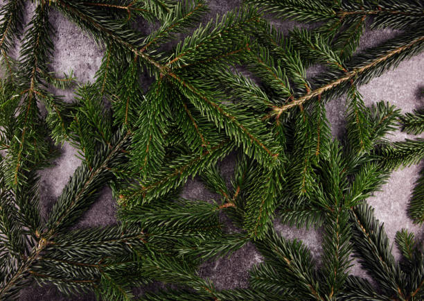 istock Christmas and new year corner background with branches. 1067969422